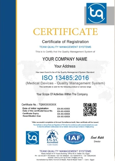 Sample ISO 13485:2016 certificate from Team Quality