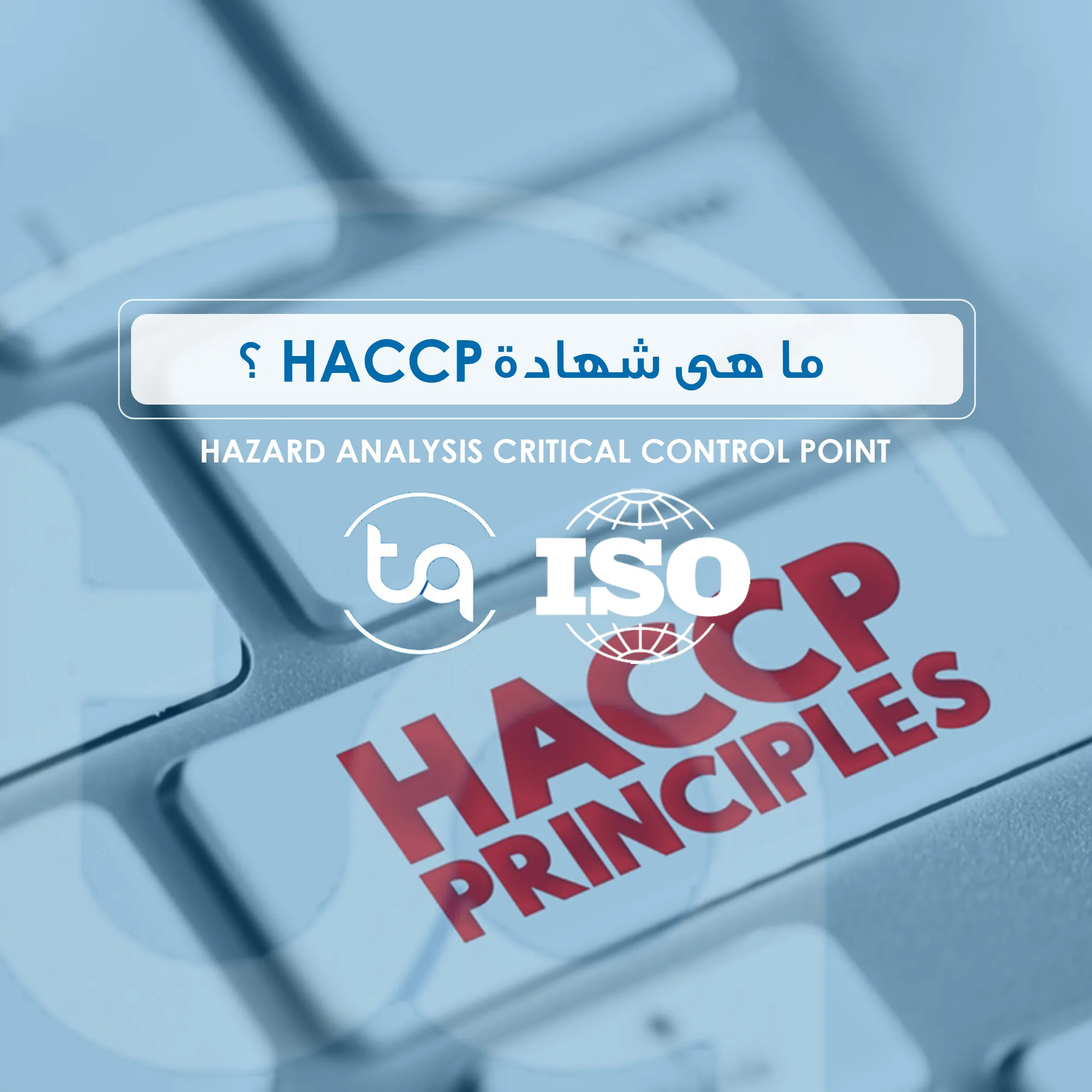 شهادة HACCP تضمن سلامة الغذاء، تعزز ثقة المستهلك، تفتح آفاق التصدير، وتحسن كفاءة العمليات. التزام الشركة بهذه المعايير يساهم في الامتثال للقوانين وتحقيق الجودة.