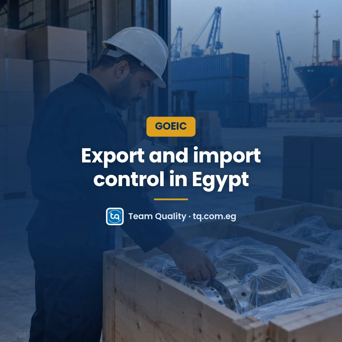 General Organization for Export and Import Control
