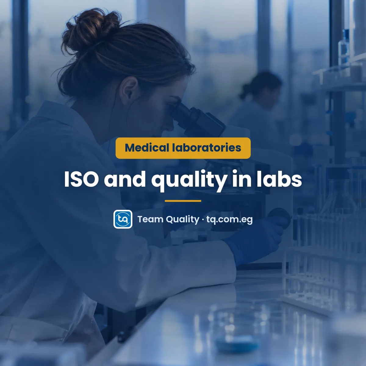 ISO and quality in medical laboratories